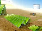 Biotechnologie Lumiere Carburant