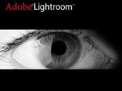 Logiciel Lightroom social chez Microsoft