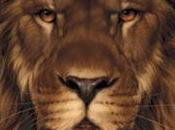 illusions: souris cachée dans lion cochon chouette