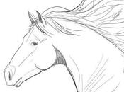 Portrait animalier cheval ('Sand Horse')