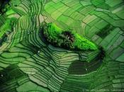 Envie d’évasion Partagez rêve d’Icare!