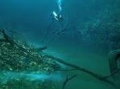 Cenote: fleuve fond l'eau