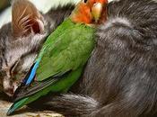 images insolites jour