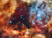 amas d’étoiles super massives dans nébuleuse Tarentule photographié télescope Hubble. Magnifique