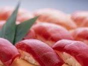 Finis sashimis thon rouge