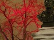 Festival Arbres lumières