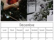 Cadeau pour fidèles lecteurs