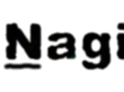Script d’installation automatique Nagios