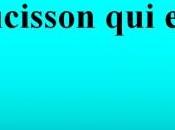 proverbes dictons