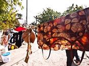 Cinquième lendemain