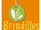 Avis Brindilles.fr, produits pour enfance, futures jeunes mamans