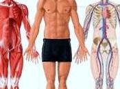 Dessiner peindre corps humain Eléments d’anatomie Partie