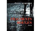 Critique littéraire roman Bruno Alberro, Fragments rouges