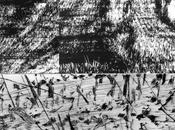 répartition dans l’espace