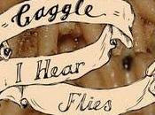 GAGGLE Hear Flies