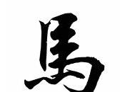 Astrologie Chinoise: Cheval 2010