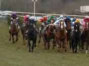 Machecoul (21.02.2010)