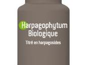 Harpagophytum Biologique
