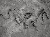 temps invariablement...