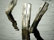 Photographies Parc régional Brière Traitement Edgy Church