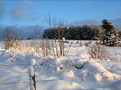 Pays Gaspard montagnes