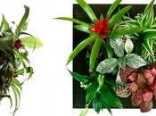 Small Garden, cultivez votre intérieur