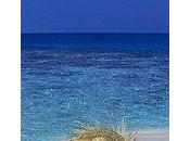 critique l'existence