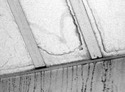 ANTiCHAMBRE (extrait 1#). Jean-Marc Undriener