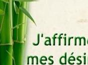 Petite Pensée Grand Résultat