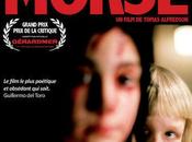 Critique: MORSE (2009)