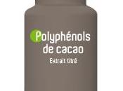 Polyphénols cacao