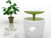 concept chargeur solaire utilise photosynthèse