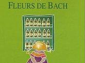 Cours pratique Fleurs Bach
