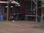 Ferme Célébrités Mais jusqu'où Mickaël peut-il aller