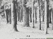 Greenpeace, alternative papier