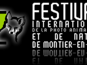 Concours Photographie animalière Montier