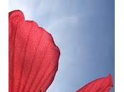 produits sentent vraiment (vraiment bon, existe