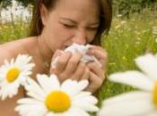 Allergie rhinite allergique préparer l’arrivée pollens