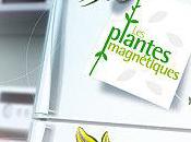 plantes magnets