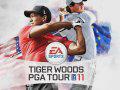 Tiger Woods puts trous