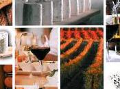 Maison l'Aubrac, rencontre professionnelle