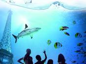 Concours petite sortie l'aquarium Paris