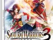 sortie Samurai Warriors