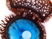 Boîtes Pétri artistiques