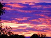 ciel… entre fuschia violet