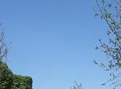 jardin extraordinaire Paris (Champs-Élysées)