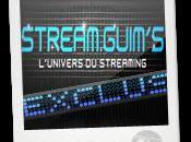 Streamguims: streaming