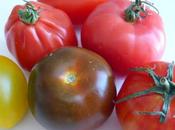 tomates, aliment savourer (plaisir gourmand juin)