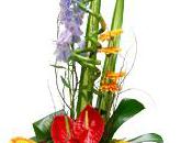 TULIP, adhérent Interflora Périgueux