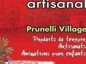 Foire Rurale 4ème édition Grand Marché Artisanal clôture soir Prunelli Fiumorbu
